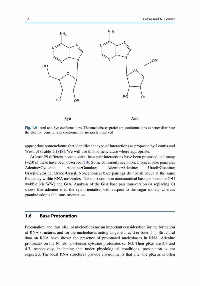 Fundamentals of RNA Structure and Function – FULL INSTANT DOWNLOAD ...