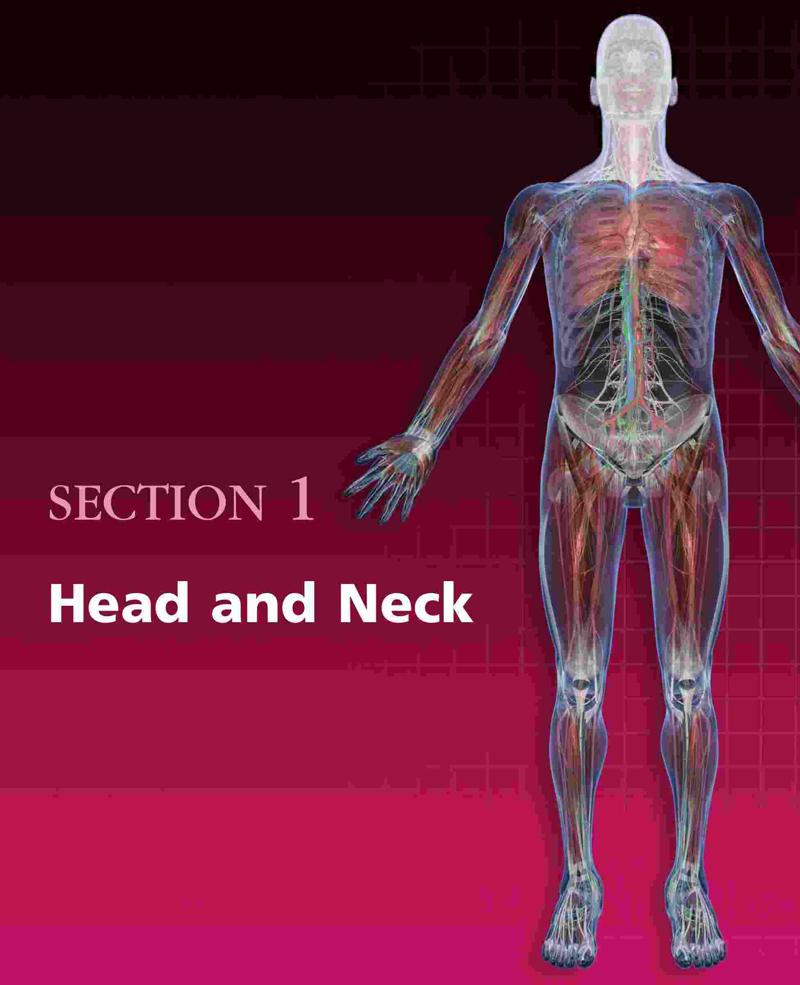 Atlas of Clinical Gross Anatomy, 2nd Edition – FULL INSTANT DOWNLOAD ...