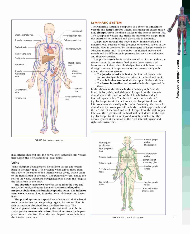 Atlas of Clinical Gross Anatomy, 2nd Edition – FULL INSTANT DOWNLOAD ...