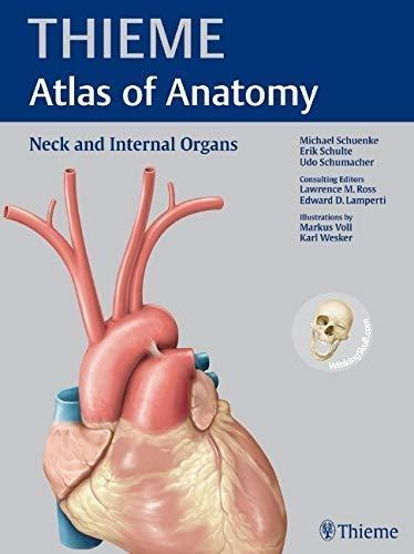 Neck and Internal Organs (THIEME Atlas of Anatomy), 1st Edition - FULL INSTANT DOWNLOAD | PDF DOCX EPUB