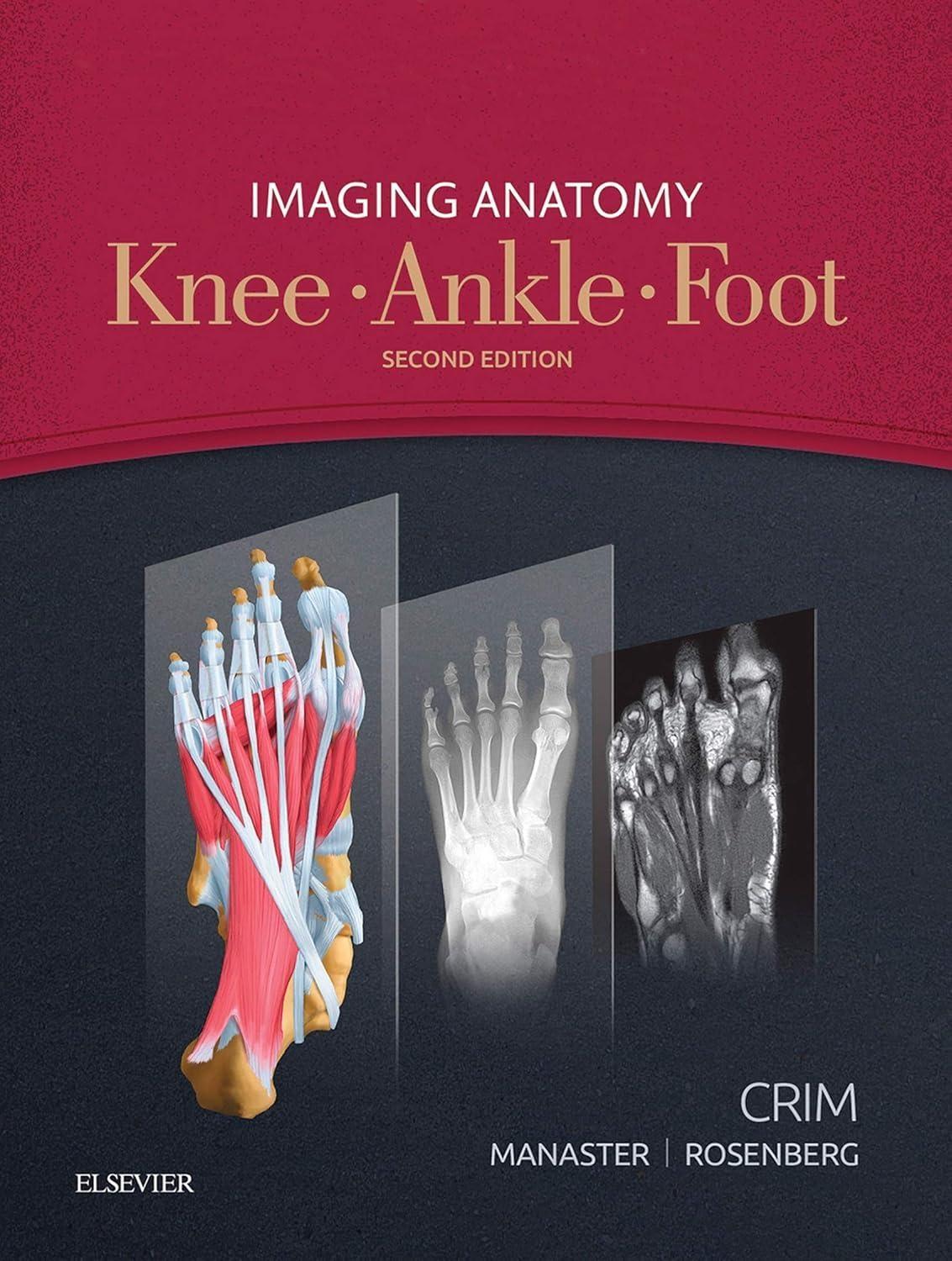 Imaging Anatomy: Knee, Ankle, Foot, 2nd Edition - FULL INSTANT DOWNLOAD | PDF DOCX EPUB