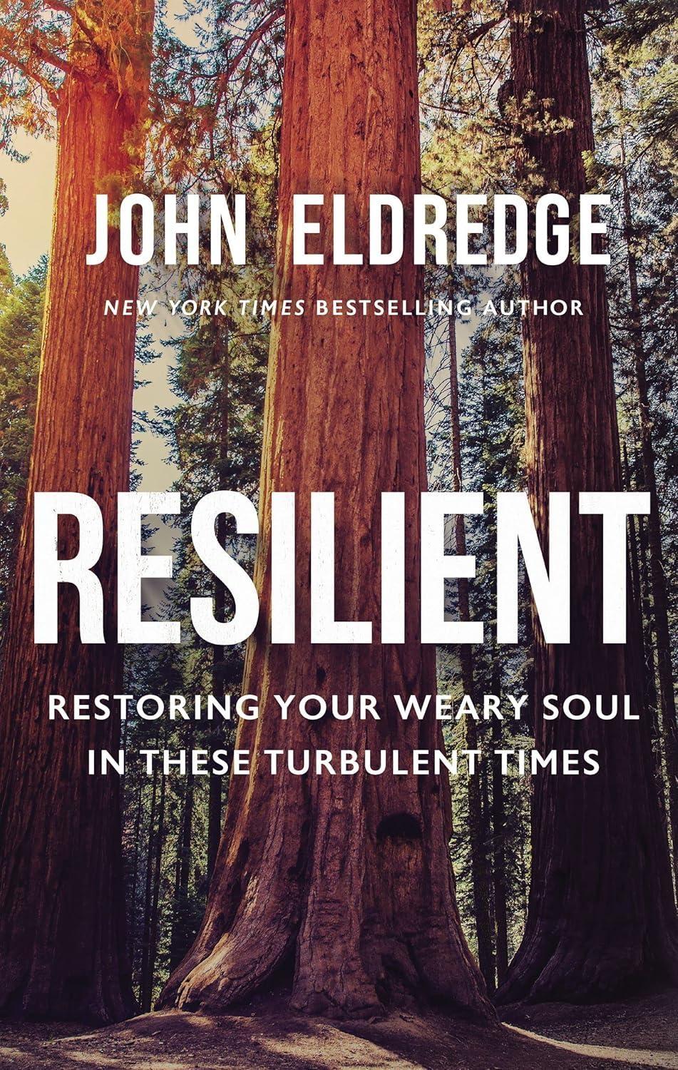 Resilient : Restoring Your Weary Soul in These Turbulent Times, 1st Edition - FULL INSTANT DOWNLOAD | PDF DOCX EPUB