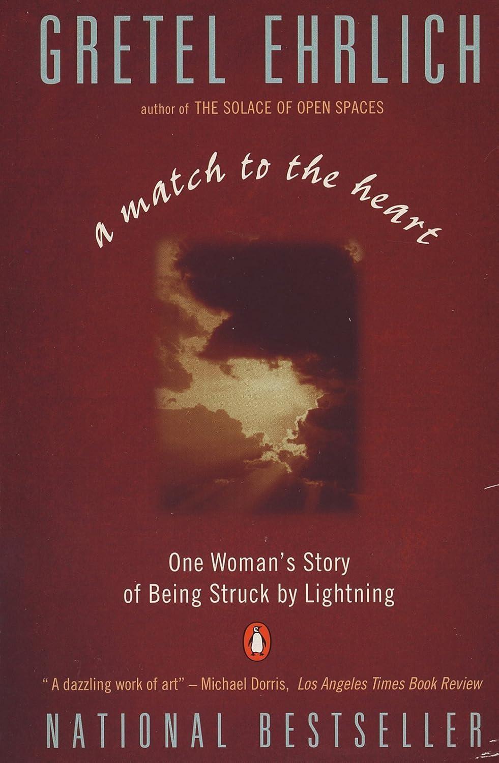 A Match to the Heart : One Woman's Story of Being Struck By Lightning - FULL INSTANT DOWNLOAD | PDF DOCX EPUB