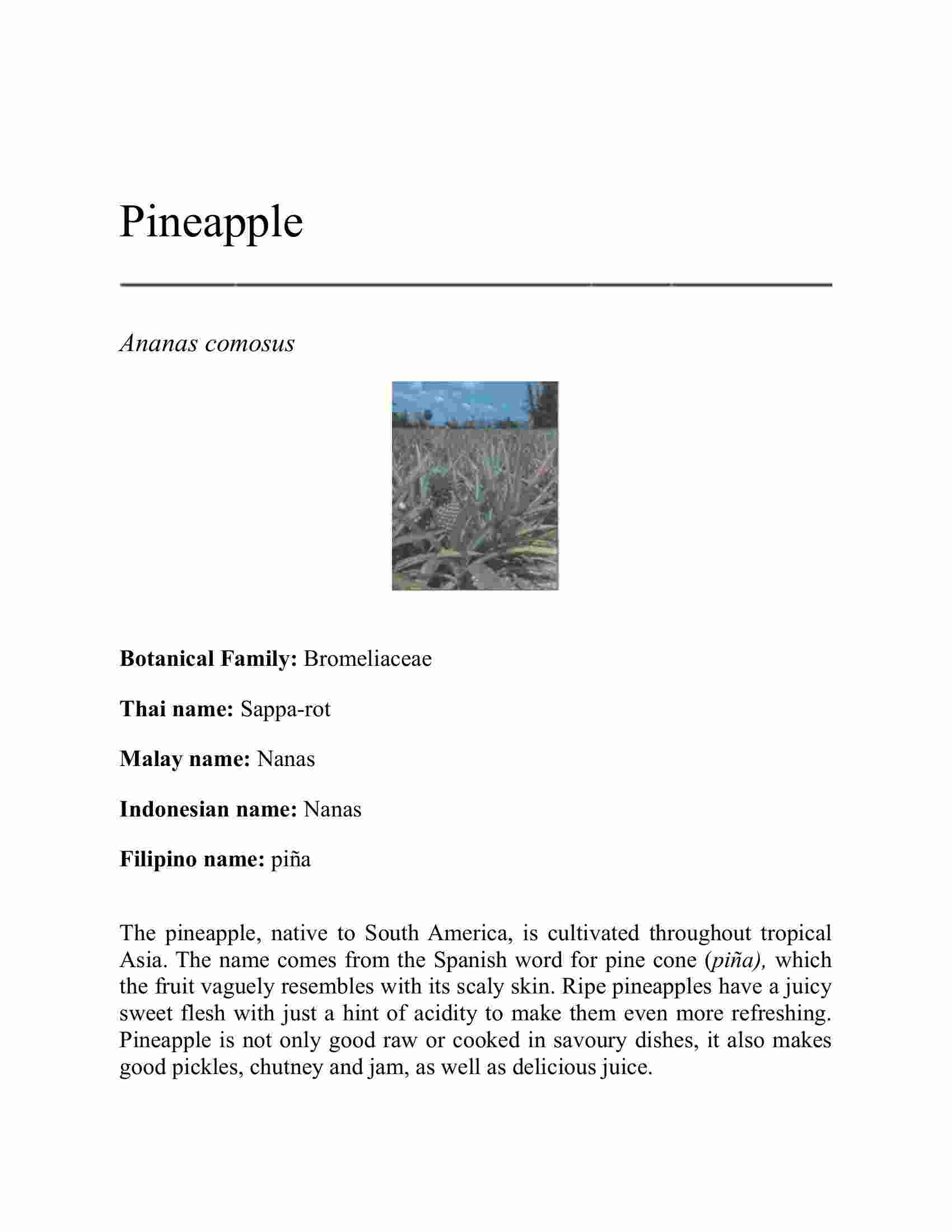 Handy Pocket Guide to Tropical Fruits – FULL INSTANT DOWNLOAD | PDF ...