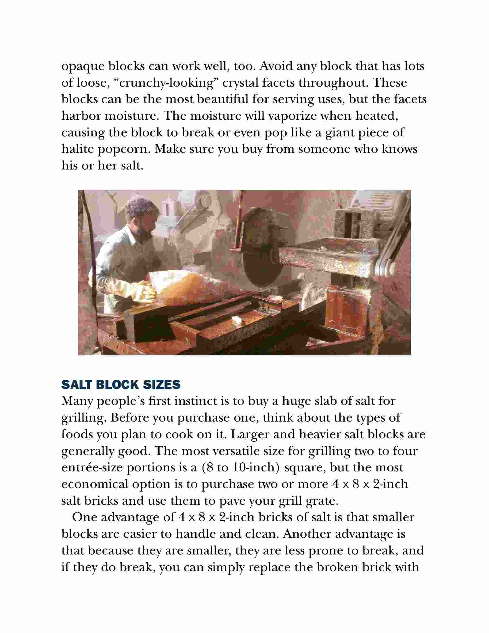 Salt Block Grilling: 70 Recipes for Outdoor Cooking with Himalayan Salt ...