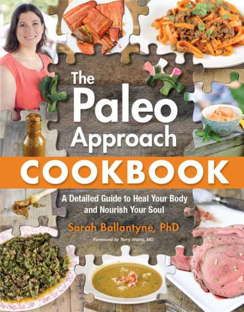 Paleo Approach Cookbook: A Detailed Guide to Heal Your Body and Nourish Your Soul - FULL INSTANT DOWNLOAD | PDF DOCX EPUB