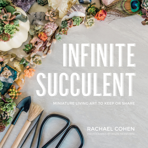 Infinite Succulent: Miniature Living Art to Keep or Share - FULL INSTANT DOWNLOAD | PDF DOCX EPUB