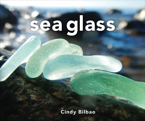 Sea Glass (Revised and Updated), 2nd Edition - FULL INSTANT DOWNLOAD | PDF DOCX EPUB