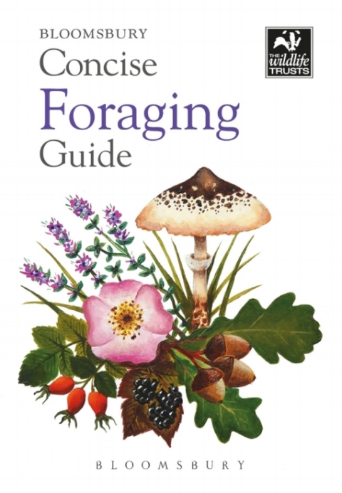 Concise Foraging Guide, 1st Edition - FULL INSTANT DOWNLOAD | PDF DOCX EPUB