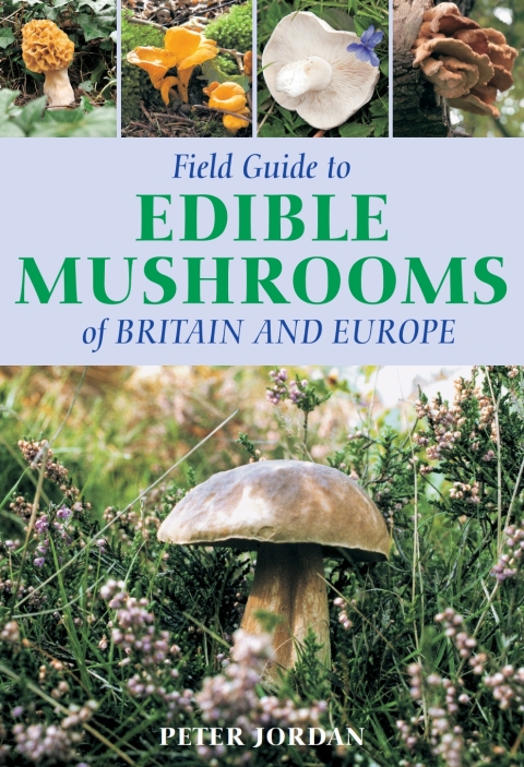 Field Guide To Edible Mushrooms Of Britain And Europe, 1st Edition - FULL INSTANT DOWNLOAD | PDF DOCX EPUB