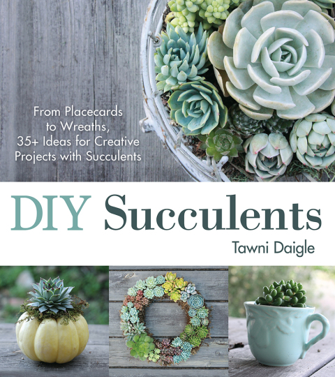 DIY Succulents: From Placecards to Wreaths, 35+ Ideas for Creative Projects with Succulents - FULL INSTANT DOWNLOAD | PDF DOCX EPUB