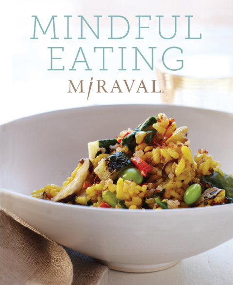 Mindful Eating - FULL INSTANT DOWNLOAD | PDF DOCX EPUB