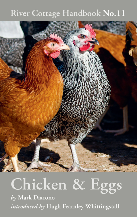 Chicken & Eggs: River Cottage Handbook No.11, 1st Edition - FULL INSTANT DOWNLOAD | PDF DOCX EPUB