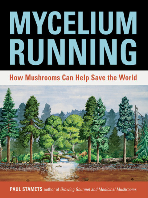Mycelium Running: How Mushrooms Can Help Save the World - FULL INSTANT DOWNLOAD | PDF DOCX EPUB