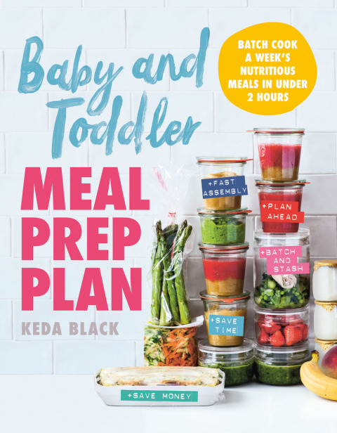 Baby and Toddler Meal Prep Plan: Batch Cook a Week's Nutritious Meals in Under 2 Hours - FULL INSTANT DOWNLOAD | PDF DOCX EPUB