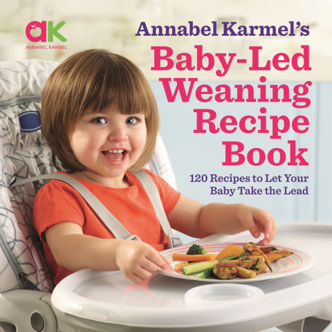 Baby-Led Weaning Recipe Book: 120 Recipes to Let Your Baby Take the Lead - FULL INSTANT DOWNLOAD | PDF DOCX EPUB