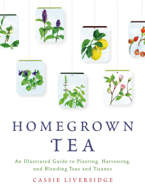 Homegrown Tea: An Illustrated Guide to Planting, Harvesting, and Blending Teas and Tisanes - FULL INSTANT DOWNLOAD | PDF DOCX EPUB