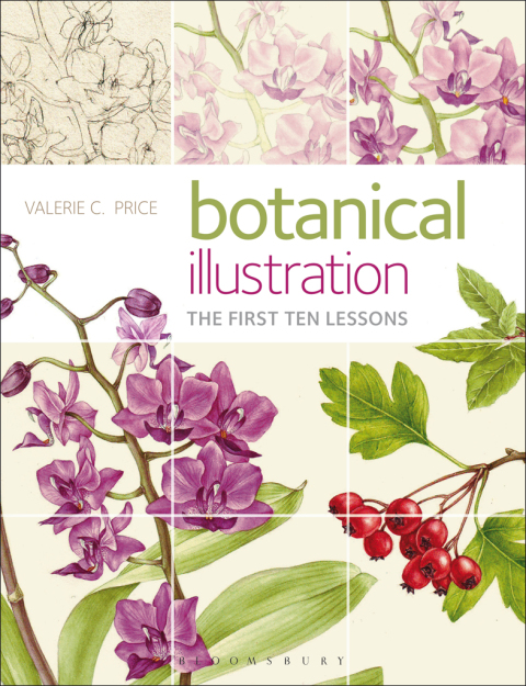 Botanical Illustration: The First Ten Lessons, 1st Edition - FULL INSTANT DOWNLOAD | PDF DOCX EPUB