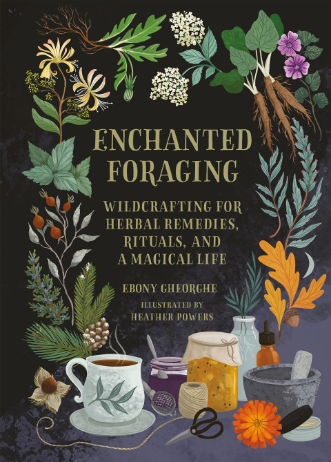 Enchanted Foraging: Wildcrafting for Herbal Remedies, Rituals, and a Magical Life - FULL INSTANT DOWNLOAD | PDF DOCX EPUB