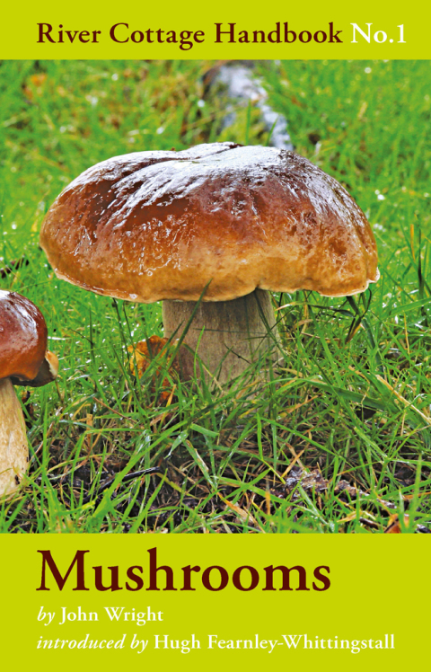 Mushrooms: River Cottage Handbook No.1, 1st Edition - FULL INSTANT DOWNLOAD | PDF DOCX EPUB
