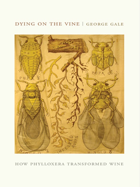 Dying on the Vine: How Phylloxera Transformed Wine, 1st Edition - FULL INSTANT DOWNLOAD | PDF DOCX EPUB