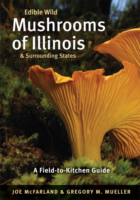 Edible Wild Mushrooms of Illinois and Surrounding States: A Field-to-Kitchen Guide - FULL INSTANT DOWNLOAD | PDF DOCX EPUB