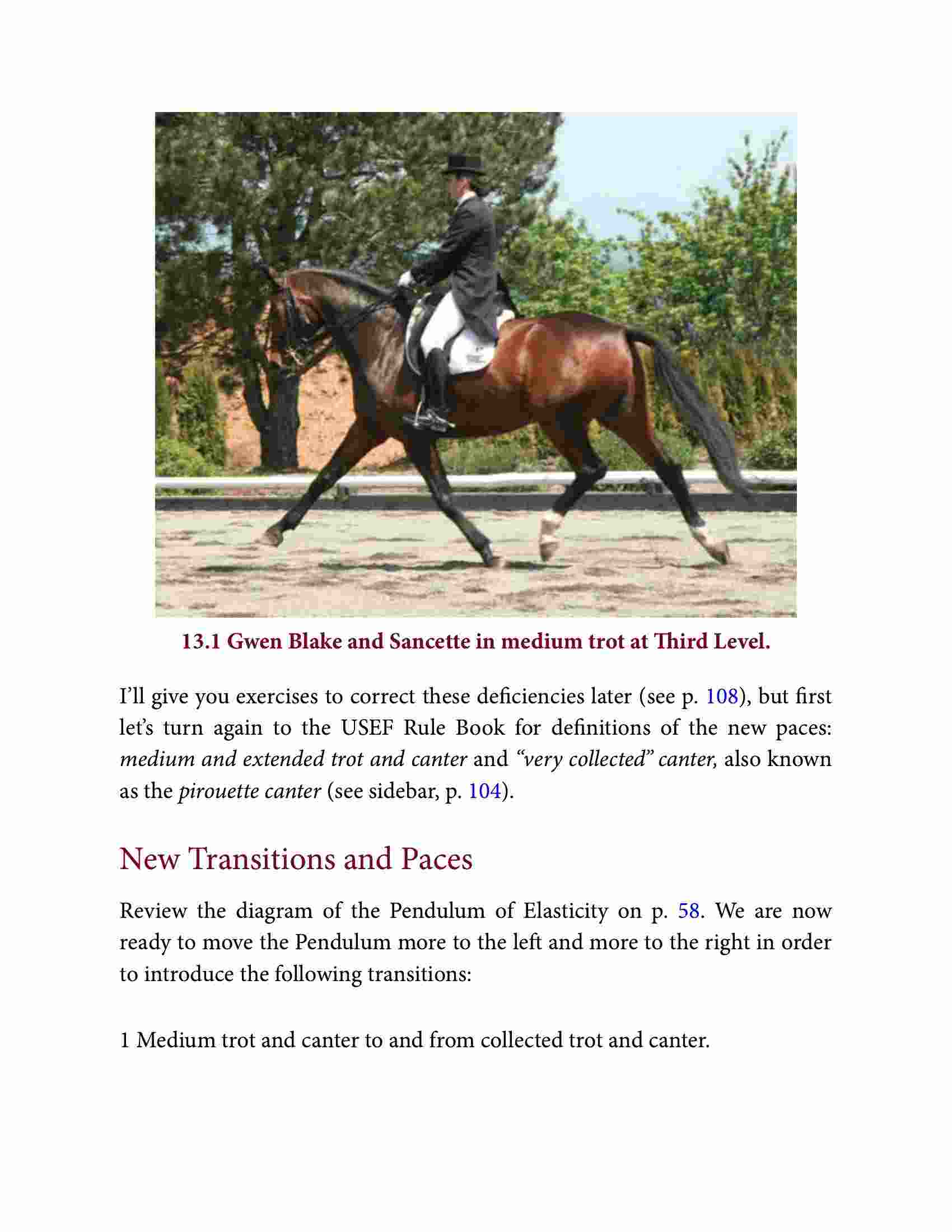 Dressage for the Not-So-Perfect Horse: Riding Through the Levels on the ...