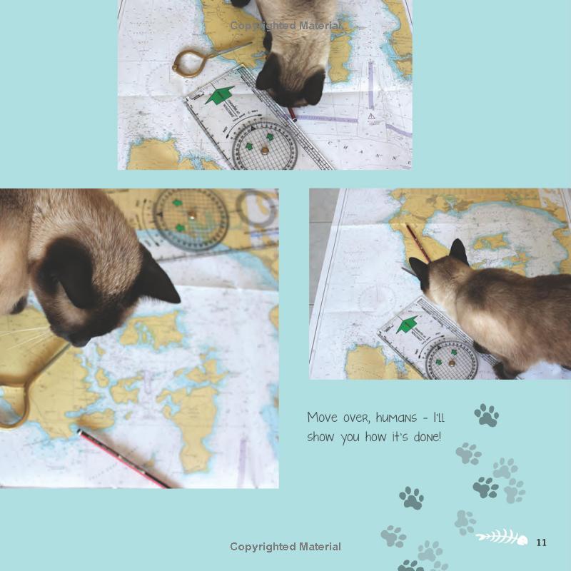Bailey Boat Cat: Adventures of a Feline Afloat, 1st Edition – FULL ...