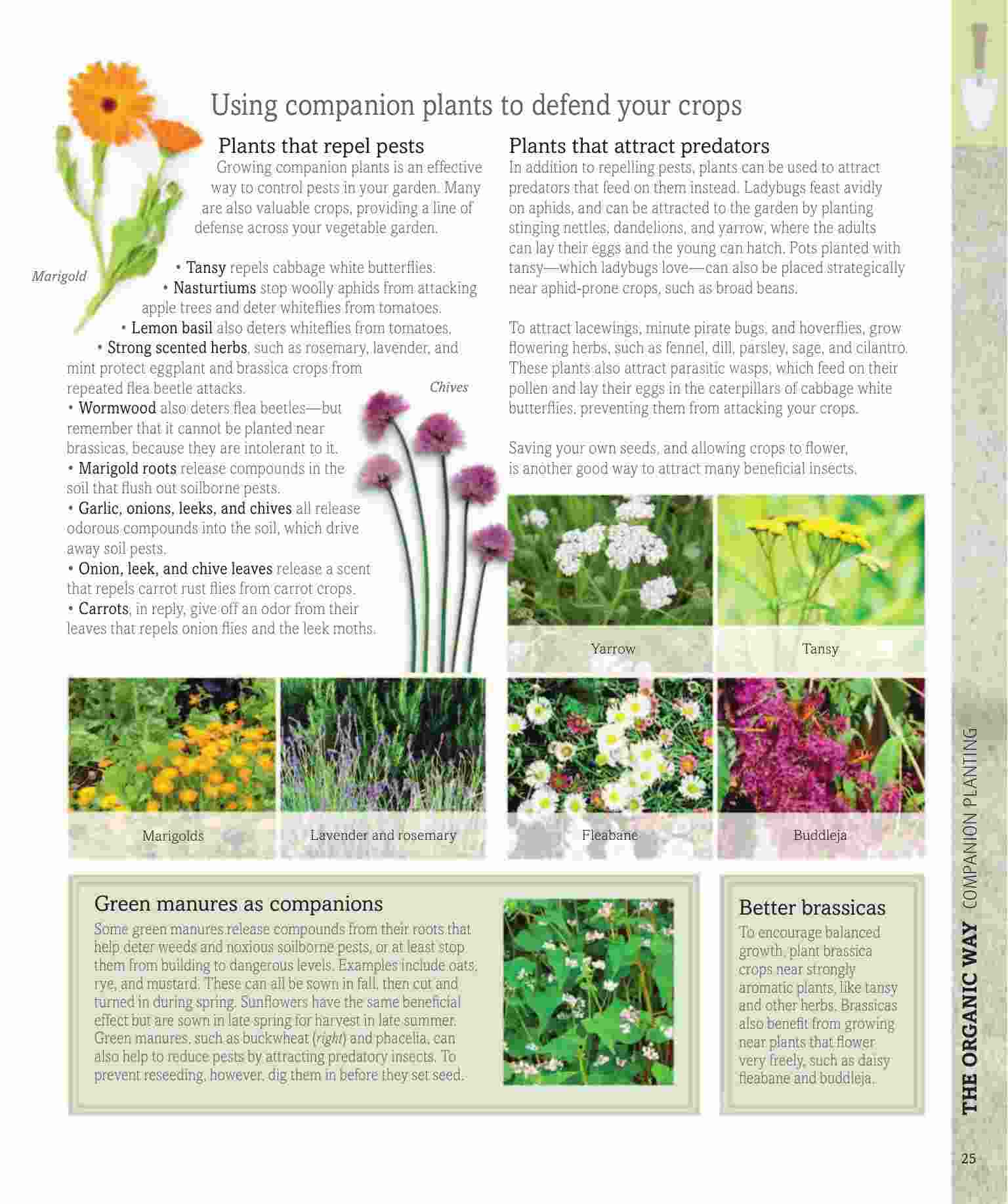 Biodynamic Gardening: Grow Healthy Plants and Amazing Produce with the ...