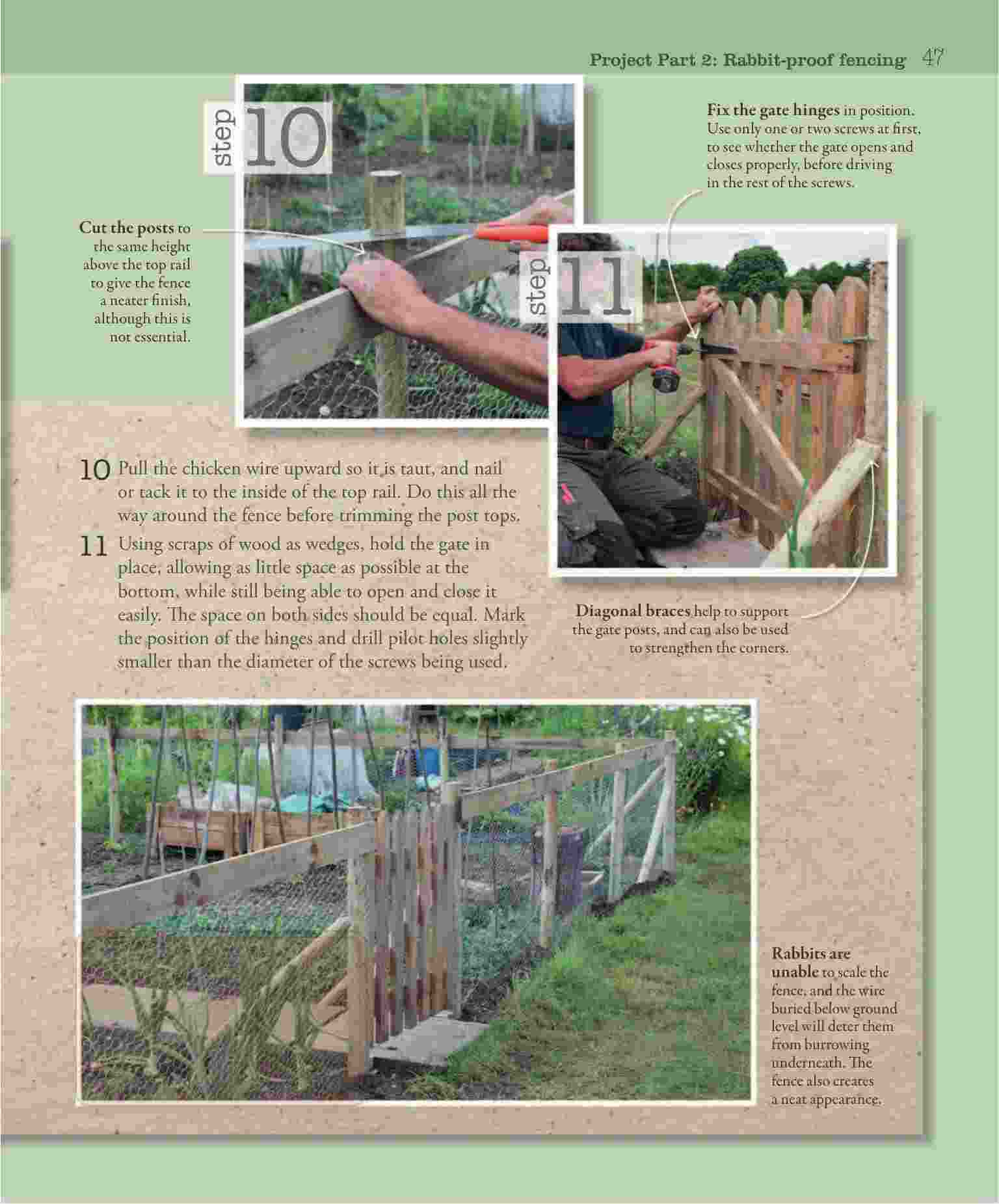 Kitchen Gardening for Beginners: A Simple Guide to Growing Fruit and Vegetables – FULL INSTANT ...