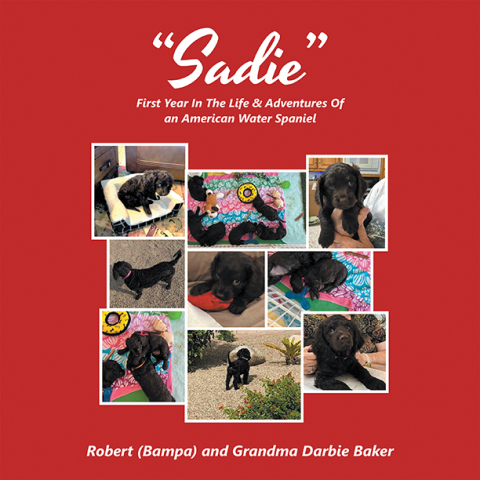 “Sadie”: First Year In The Life & Adventures Of an American Water Spaniel - FULL INSTANT DOWNLOAD | PDF DOCX EPUB