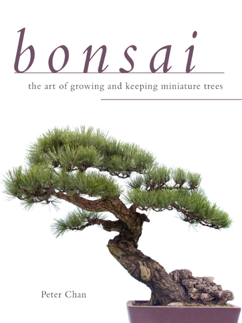 Bonsai: The Art of Growing and Keeping Miniature Trees - FULL INSTANT DOWNLOAD | PDF DOCX EPUB