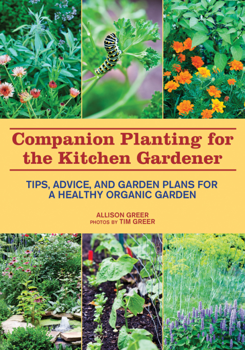 Companion Planting for the Kitchen Gardener: Tips, Advice, and Garden Plans for a Healthy Organic Garden - FULL INSTANT DOWNLOAD | PDF DOCX EPUB