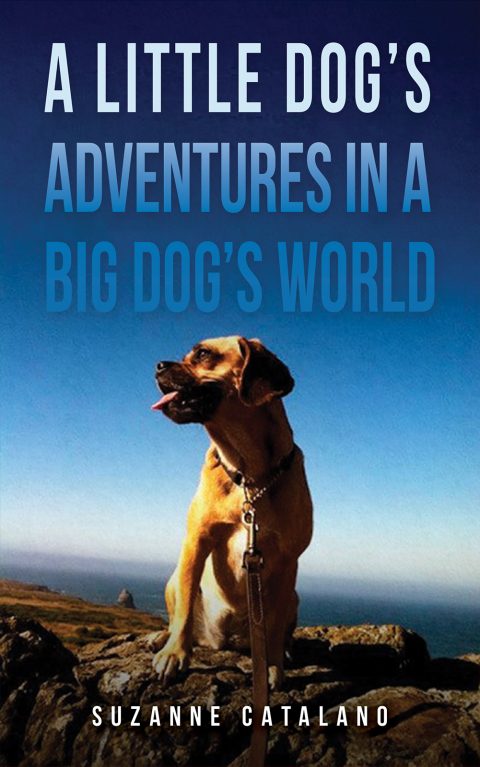 A Little Dog’s Adventures in a Big Dog’s World - FULL INSTANT DOWNLOAD | PDF DOCX EPUB
