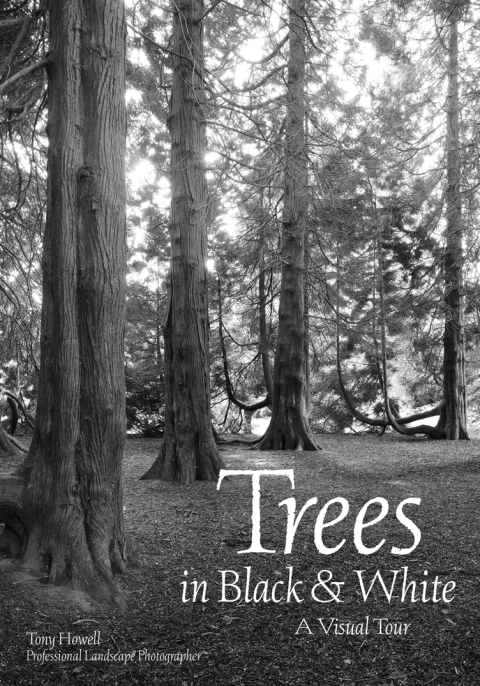 Trees in Black & White: A Visual Tour - FULL INSTANT DOWNLOAD | PDF DOCX EPUB