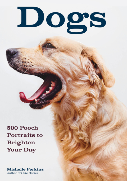 Dogs: 500 Pooch Portraits to Brighten Your Day - FULL INSTANT DOWNLOAD | PDF DOCX EPUB