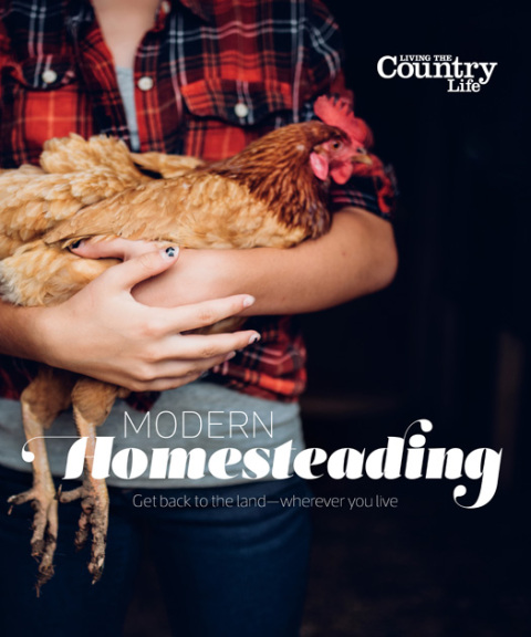 Modern Homesteading: Get Back to the Land - Wherever You Live - FULL INSTANT DOWNLOAD | PDF DOCX EPUB
