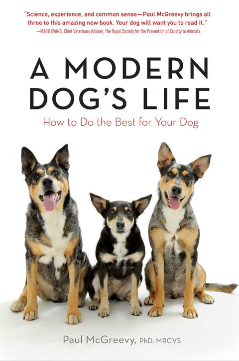 A Modern Dog's Life: How to Do the Best for Your Dog - FULL INSTANT DOWNLOAD | PDF DOCX EPUB