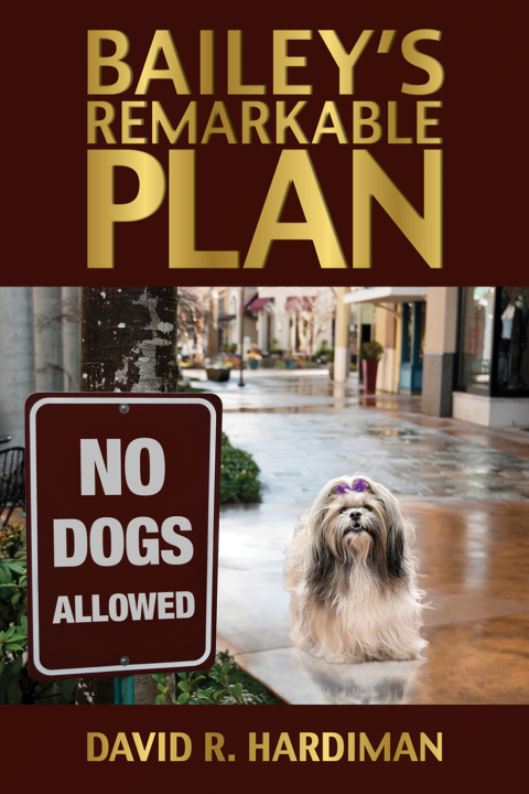 Bailey's Remarkable Plan - FULL INSTANT DOWNLOAD | PDF DOCX EPUB