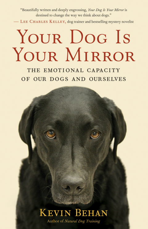 Your Dog Is Your Mirror: The Emotional Capacity of Our Dogs and Ourselves - FULL INSTANT DOWNLOAD | PDF DOCX EPUB