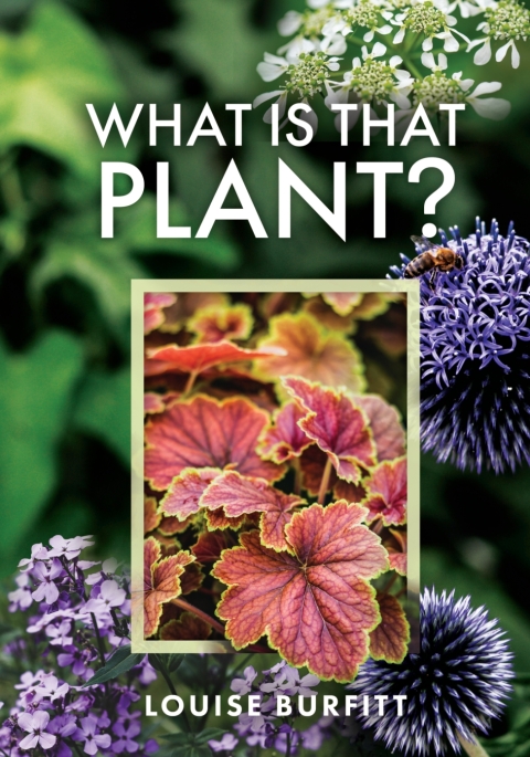 What is that Plant? - FULL INSTANT DOWNLOAD | PDF DOCX EPUB