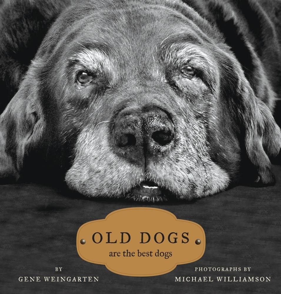 Old Dogs: Are the Best Dogs - FULL INSTANT DOWNLOAD | PDF DOCX EPUB