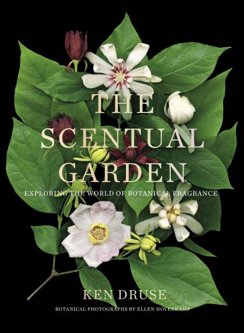 The Scentual Garden: Exploring the World of Botanical Fragrance - FULL INSTANT DOWNLOAD | PDF DOCX EPUB