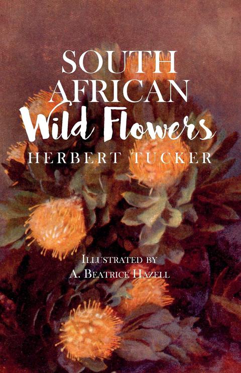 South African Wild Flowers - Illustrated by A. Beatrice Hazell - FULL INSTANT DOWNLOAD | PDF DOCX EPUB