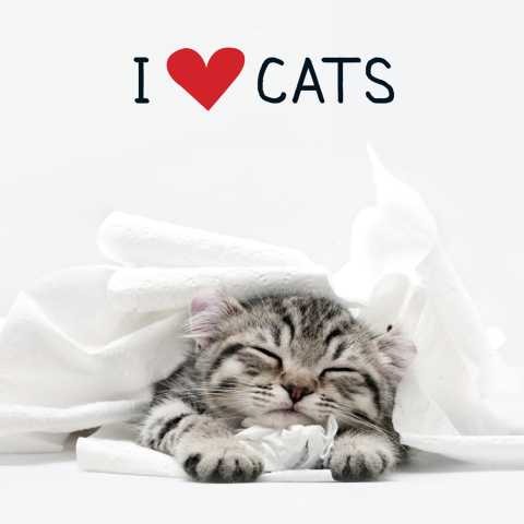 I Love Cats - FULL INSTANT DOWNLOAD | PDF DOCX EPUB