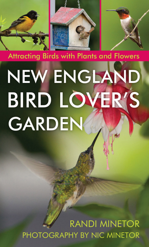 New England Bird Lover's Garden: Attracting Birds with Plants and Flowers - FULL INSTANT DOWNLOAD | PDF DOCX EPUB