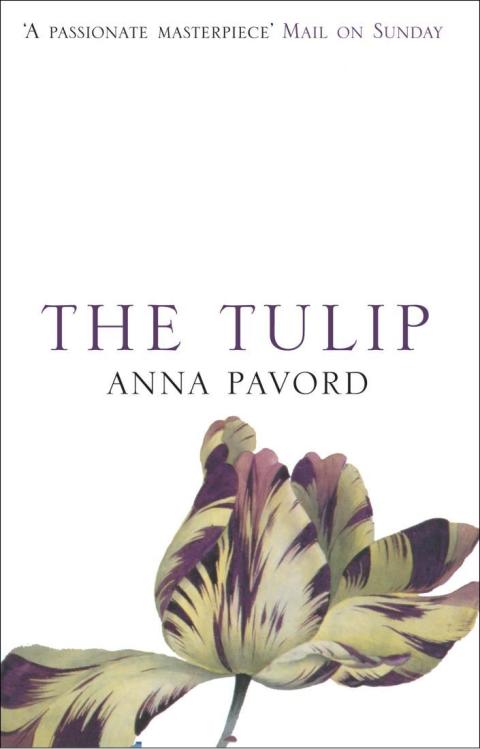 The Tulip: The Story of a Flower That Has Made Men Mad, 1st Edition - FULL INSTANT DOWNLOAD | PDF DOCX EPUB