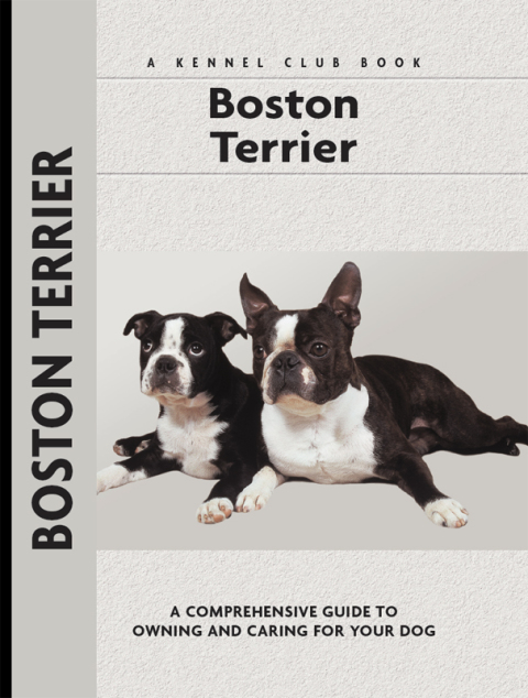 Boston Terrier - FULL INSTANT DOWNLOAD | PDF DOCX EPUB