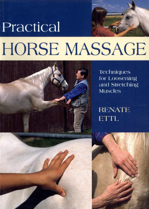 Practical Horse Massage: Techniques For Loosening And Stretching Muscles, 1st Edition - FULL INSTANT DOWNLOAD | PDF DOCX EPUB