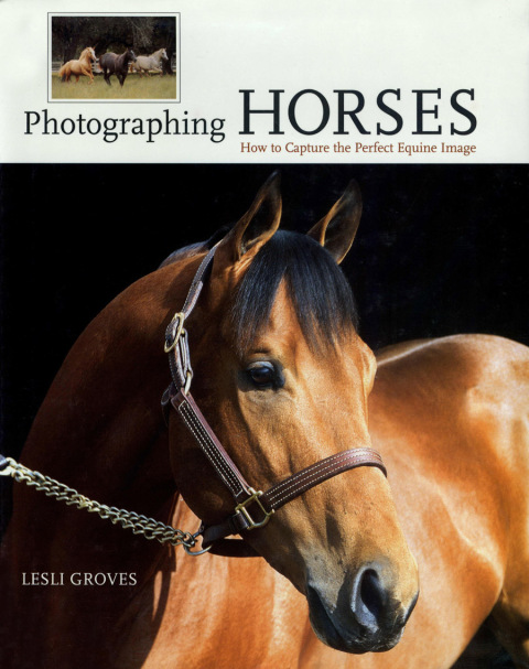 Photographing Horses: How To Capture The Perfect Equine Image, 1st Edition - FULL INSTANT DOWNLOAD | PDF DOCX EPUB